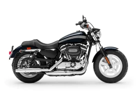 1200 custom