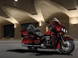 CVO Limited