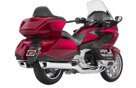 gold wing