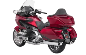 gold wing