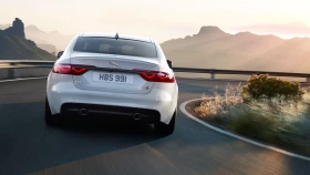 xf
