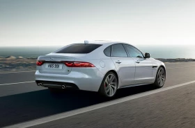 xf