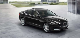 xf