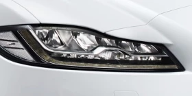 xf
