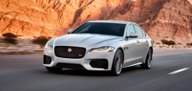 xf