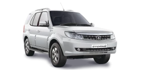 safari storme