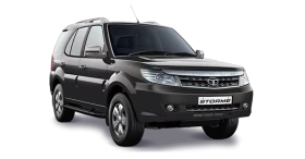 safari storme