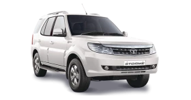 safari storme