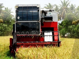 Tafe (massey Ferguson) Harvestrac 8060