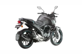 fz-fi