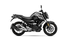 fzs fi